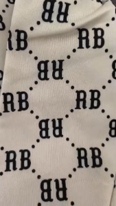 ส่งไว⚡limited RB JEACKET เสื้อกันหนาว แขนยาวมีฮู้ดซิปหน้า ผ้านิ่มใส่สบาย สไตล์วัยรุ่น2025 แฟชั่นเกาหลี ฮ่องกง พร้อมส่ง