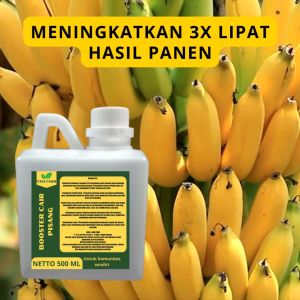 Pupuk Booster Pisang: Pilihan Terbaik untuk Buah Pisang