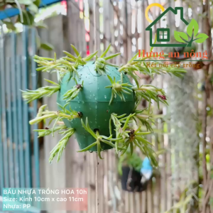 Bầu trồng hoa 10h & sen đá có lỗ trồng quanh bầu kèm dây 40cm  size 10x11cm nhựa PP - xem trong mô tả