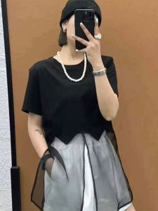 Shalldoer | Korean Style Round Neck Short Sleeve T-Shirt Womens Summer New Lazy Casual Cover Up Top Net Splicing Loose Fit Comfortable