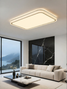 DGY | Italian Style Luxury Creative Living Room Ceiling Light