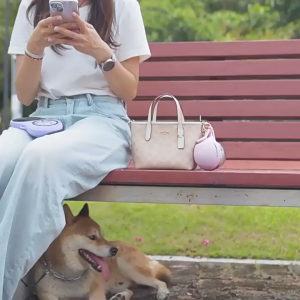 FAVORITEGOODS Portable Dog Water Bottle Stainless Steel Spill-proof Dog Water Dispenser 2-In-1 Fol