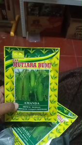 Benih Timun Mentimun Ketimun Amanda Cap Mutiara Bumi Isi 50 Gram Timun Tipe Putih Kehijauan