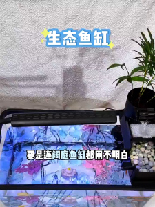 Aquarium HD Transparent Resin Fish Tank Desk Aquarium Set with LED Lighting and Filter