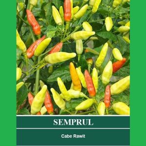 BENIH CABE RAWIT SEMPRUL CAP MUTIARA BUMI ISI 10 gram