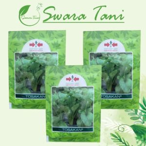 Benih Sawi Caisin Tosakan 2000 Butir Original Cap Panah Merah
