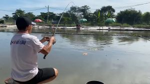 Cần câu Shore Jigging Ecooda SP-Farfett 6 lớp carbon Toray 30T