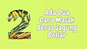 Beras Jagung Dollar+ Bubble (Rendah Kalori)