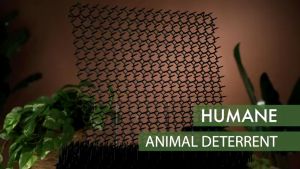 Cat Repellent Penghalau Kucing Halau Kucing Anti Cat Spike Mat Animal Dog Cat Repellent Mat Spike Garden Outdoor