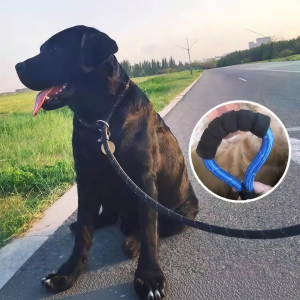 NAIFUNA | Thick P Chain Leash for Large Dogs