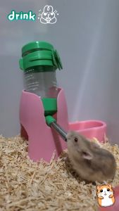 Botol Minum Medium 80mL Hamster/Landak Mini/Sugar Glider