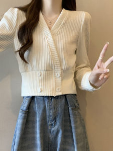 plus Size V-Neck Knitted Base Shirt Womens Autumn Winter Slimming Waist Cinched Stylish Inner Wear Short Sweater Knitted Top