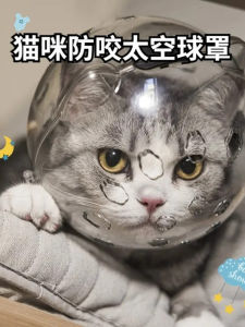 Breathable Pet Nail Clipper Cat Head Cover Space Hood Anti-Bite Nail Cover Shoe Pet Supplies for Cats Dog Home Use Accessories