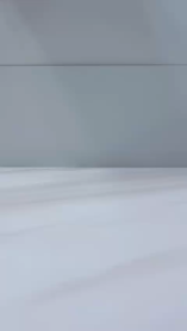 【Woody】Cartoon Plush Capybara Car Tissue Box Toy Storage Box Car Headrest Tissue Box