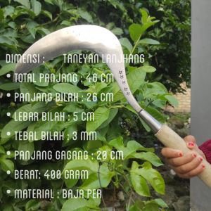 Arit rumput yang paling tajam cap lima bintang / Arit rumput full baja / Arit rumput baja asli Madura / Arit rumput madura super tajam / Arit rumput ukuran kecil / Arit rumput baja jawa timur