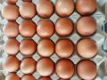 Telur Ayam Negeri Fresh / Telor Ayam Negeri Fresh 30 butir. 