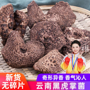  Black Tiger Palm Mushroom Dried Goods 500g Yunnan Specialty Wild Mushroom Non-Zhangzi Mushroom Home Use Packaging