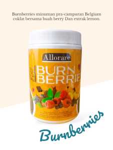 Burnberries choco mixed berry dietary supplements