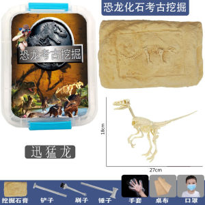 Childrens Archaeological Gem Digging Dinosaur Fossil Skeleton Blind Box Educational Handmade Treasure Hunt Boys Toys