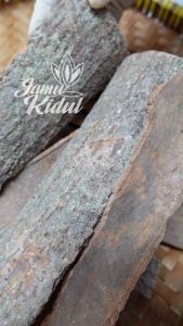 Kulit Kayu Sintok Kering 50gr Asli Hutan - Lebih Berkhasiat