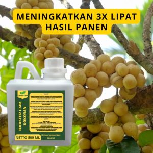 Pupuk Pelebat Kokosan / Pupuk Buah Kokosan / Pupuk Booster Kokosan / Pupuk Kokosan