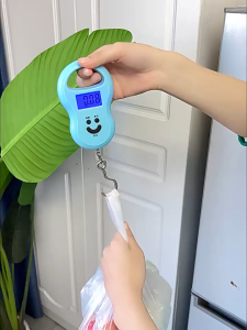 Mini LED Digital Scale 50kg – Hanging Hook Luggage Weighing Tool