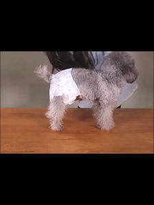 36PCS Pet Disposable Diaper For Female/Male Small Dogs and Puppies Per Piece Disposable Belly Full Wrap Diapers for Dogs