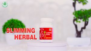SLIMMING HERBAL Obat Pelangsing Paling Ampuh Penurun Berat Badan Diet Alami Diet Ampuh Pengecil Perut Buncit PRIA WANITA HERBAL TERBAIK
