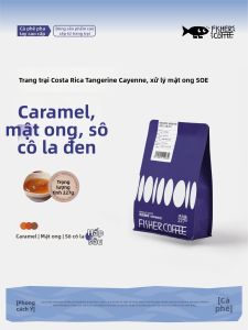 FISHER COFFEE | Hạt Cà Phê Costa Rican Catuai White Honey Processed SOE Espresso và Cà Phê Mỹ 227g