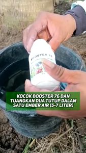 Booster 76 1000ml Pupuk Organik Penyubur Pelebat Pembesar Buah