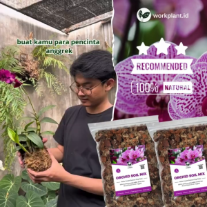 Orchid Soil Mix Media Tanam Anggrek Porous Anti Busuk Akar Untuk Semua Jenis Tanaman Anggrek