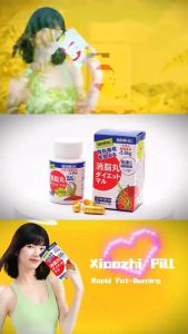 obat diet Penurunan berat badan penurunan berat badan langsing produk pelangsing manajemen berat badan pil pelangsing pembakar lemak