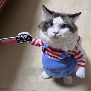 Cosplay Cat Costume For Small Medium Dogs Cats Halloween Cute Party Kitty Puppy Pet Jumpsuits Funny Pug Chihuahua Sphynx Coat