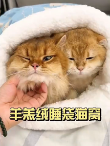 ถุงนอนกึ่งปิด ถุงนอนสัตว์เลี้ยง อุปกรณ์สัตว์เลี้ยง เตียงถ้ำแมวหนา ถุงนอนสุนัขและแมว