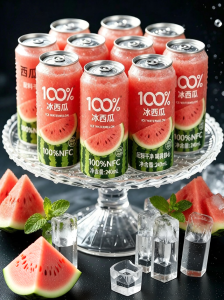 XIANSHIZI | 100% Freshly Squeezed Watermelon Juice Whole Box
