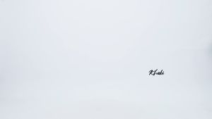 Gizmo Celana Cargo Jeans Pria Loose fit reguler gombrong / Long cargo pants Khaki