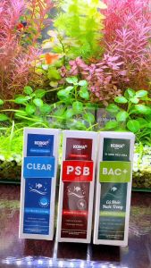 Men Vi Sinh Tiêu Hóa Bạc + 100ml Cá Khỏe Nước Trong Cho Hệ Tiêu Hóa Tốt Cho Cá