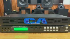 CA Audio Power Amplifier 500W 8Ohm High Power 2Channel Amplifier Digital Professional Subwoofer Stage Amplifier