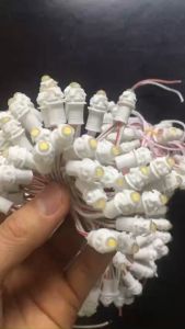 Đèn LED Quấn Cây Ngoài Trời F5 12V (Có Thợ Lắp Đặt) Dạng Led Đúc Hạt Mầu Trắng Vàng Đậm Vàng Nắng Xanh Lá Xanh Dương Đỏ