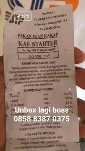 Pelet STP KAE repack 3 kg pelet ikan koi protein 50% pakan ikan koi pakan ikan hias