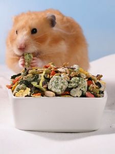 Bucatstate H1/H2 Dwarf & Syrian Hamster Food / Makanan Hamster 布卡星侏儒金丝熊仓鼠粮