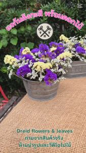 Rustic Blooming เซ็ทกระถางสังกะสี+ดอกไม้แห้ง | อบ แห้ง ธัญพืช ต้นไม้ ดอกไม้ ใบไม้ ไม้เลื้อย ไม้ประดับ กิ่ง ก้าน กระถาง แจกัน ตกแต่ง ของขวัญ กล่อง