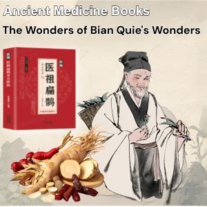 Chinese Classical Writings The Wonders Of Bian Quies Wonders Introduction Books To Traditional Chinese Medicine