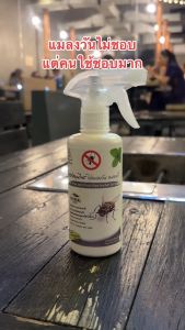 (ขายดี 1) SAMUNPINE สเปรย์สมุนไพร ไล่แมลงวัน แมลงหวี่ สารสกัดจากธรรมชาติ ขนาด 250 ml. (แมลงวัน แมลงหวี่ หายไปทันทีหลังใช้) สเปรย์ไล่แมลงวัน สเปรย์ สมุนไพร ไล่แมลงวัน - Lazada