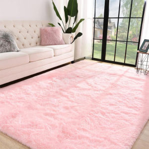 Minimalist INS Style Home Carpet
