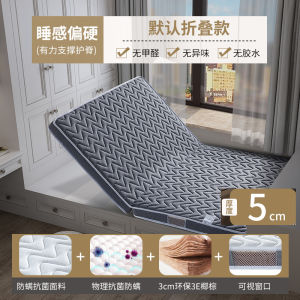 Eco-Friendly Hard 3E Coconut Fiber Mattress Foldable Window Seat Tatami Bedding Protection Spine Support Baby Toddler Mattress