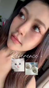 **มีค่าสายตา** คอนแทคเลนส์รายเดือน Sweetcat (Shinee) Dia 14.5 ค่าอมน้ำ 65 %