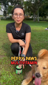 Peppy Paws Multivitamin Dog 120 Soft Chews - Omega 3 | Vitamin Bs | Vitamin C | COQ10 | MSM Glucosamine Chondroitin | Heart Health | FDA Registered | GMP Facility | Non GMO | All Natural | 100% Original