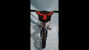 Sepeda BMX Laki-Laki Unity Galaxy 16 Inch Ban Jumbo 3.0