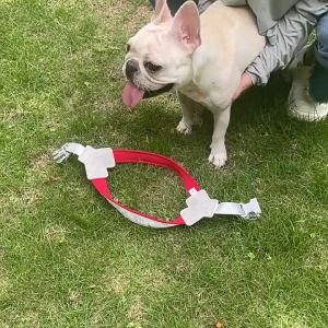 Đai yếm ngực cho Chó phản quang có đệm nẹp da nhân tạo (không có dây dắt) - Love Pets Shop